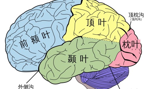 梦里看到病人-梦到没看见病人网 - 梦里看到病人,梦见病人没有穿衣服好不好